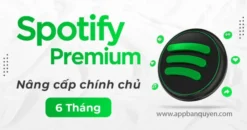 Spotify Premium