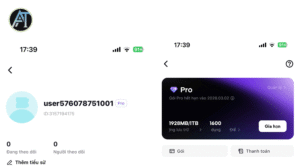 Đăng nhập CapcutPro